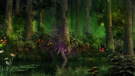 The History and Evolution of the Magical Forest Vokunter